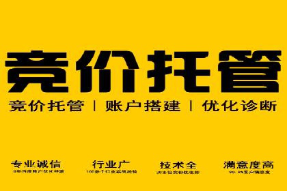 案例解读：网络推广与竞价策略